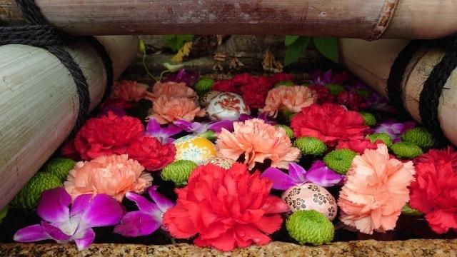 早稲田神社　花手水