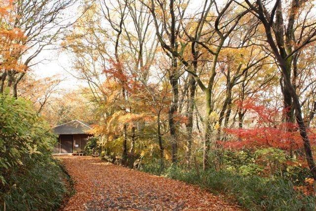 【紅葉・見ごろ】なるかわ園地