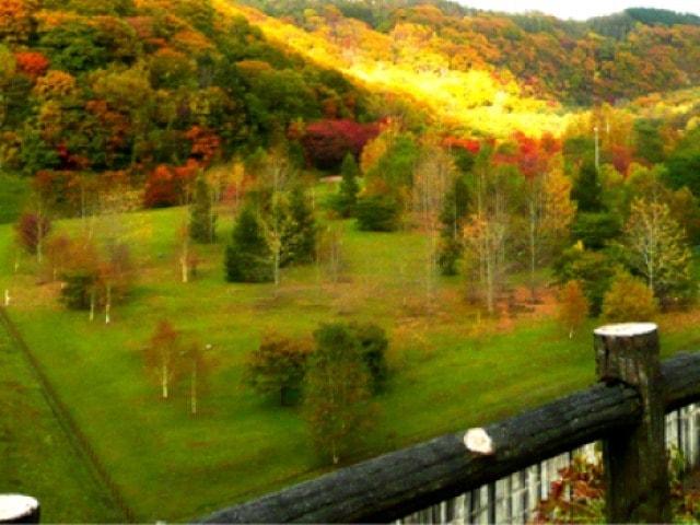 【紅葉・見ごろ】えにわ湖自由広場・桜公園
