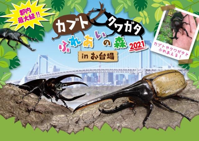 カブト・クワガタ ふれあいの森 2021 in お台場