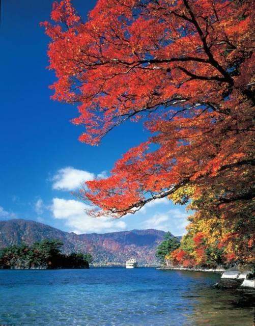 【紅葉・見ごろ】十和田湖