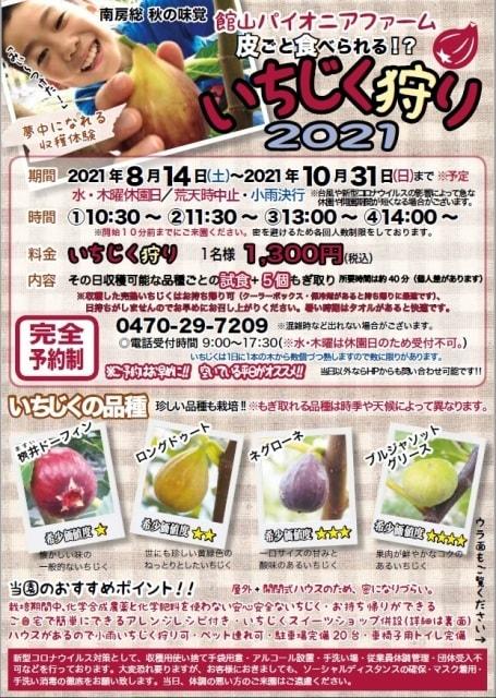 館山パイオニアファーム　いちじく狩り2021