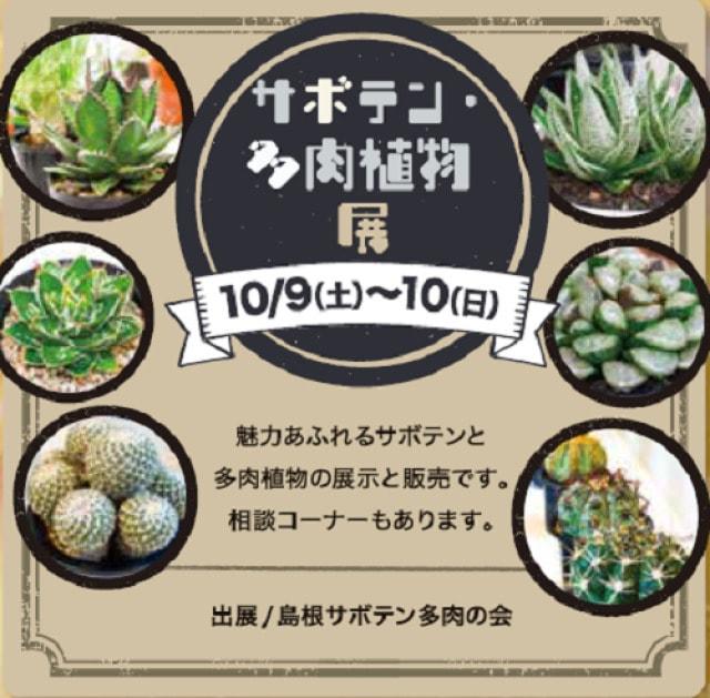 サボテン・多肉植物展