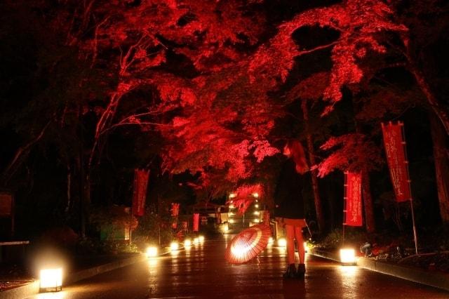 【紅葉・見ごろ】油山寺
