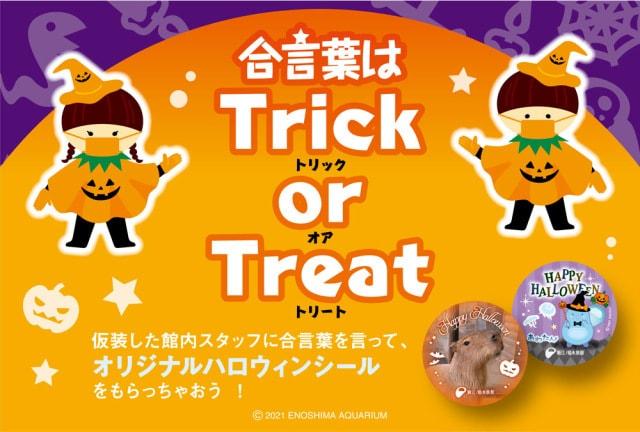 合言葉は「トリック・オア・トリート！」