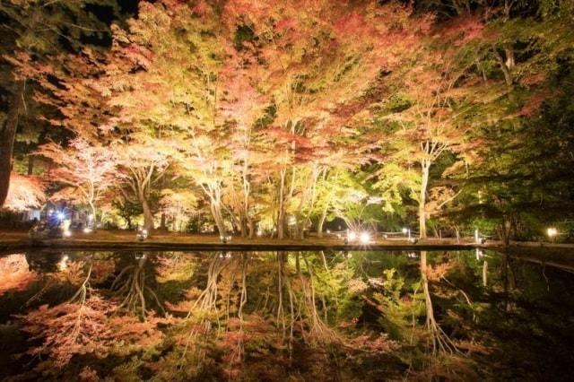 【紅葉・見ごろ】曽木公園