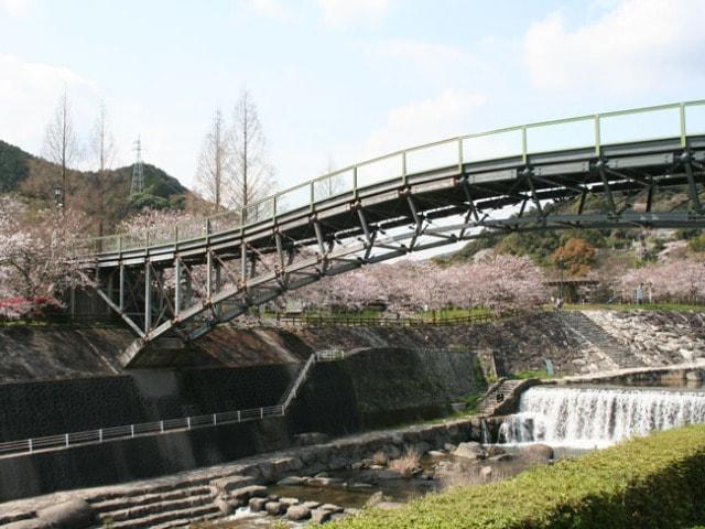 【桜・見ごろ】仁比山公園