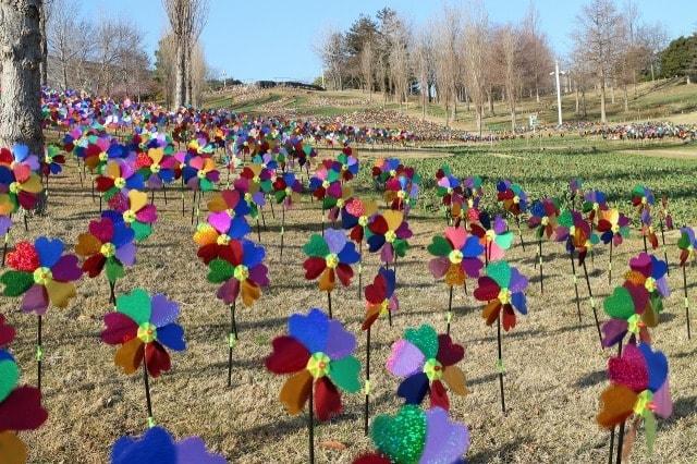 淡路島国営明石海峡公園 かざぐるまで花を咲かそう