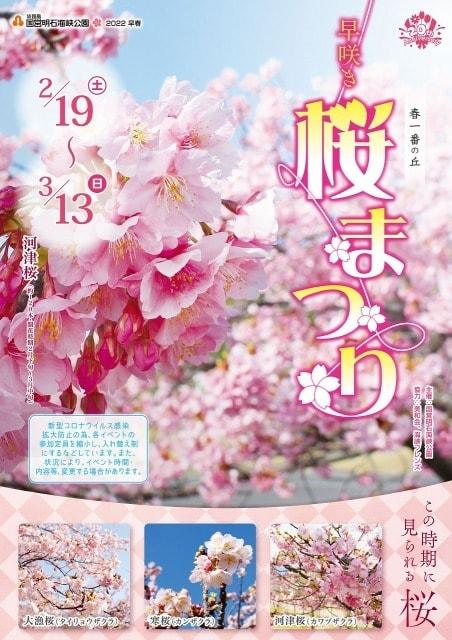 淡路島国営明石海峡公園　早咲き桜まつり