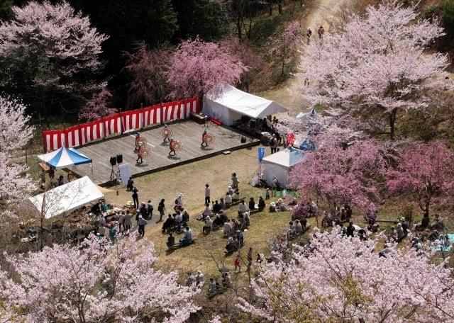 桜華園さくらまつり
