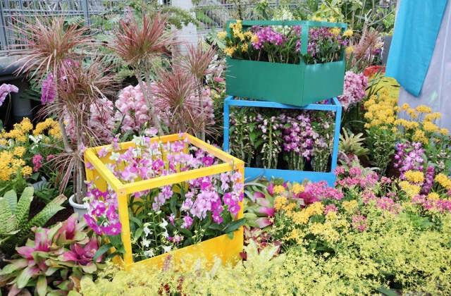 とっとり花回廊 らんまつり