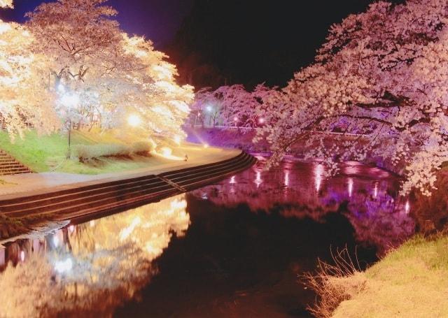 いしかわ桜谷スプリングフェスタ2022