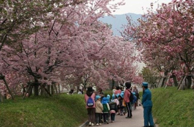 造幣局広島支局　花のまわりみち