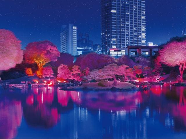 旧芝離宮夜会 by ワントゥーテン ～ひかりさくら～