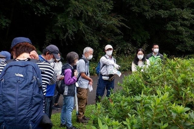自然観察会　～蜘蛛（クモ）の観察会～