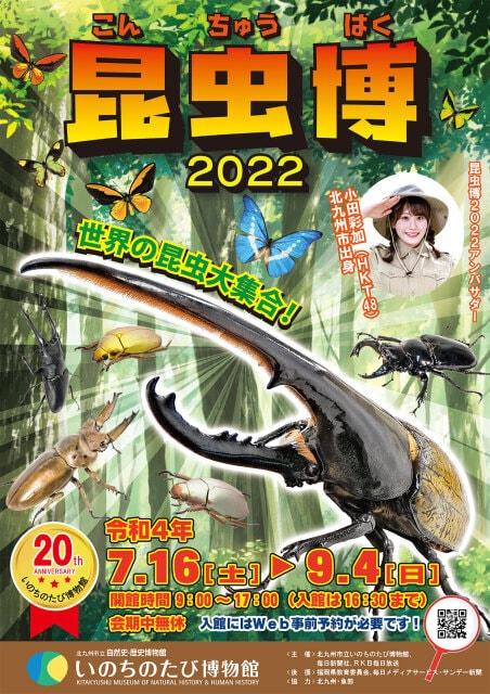 開館20周年記念 夏の特別展「昆虫博2022」