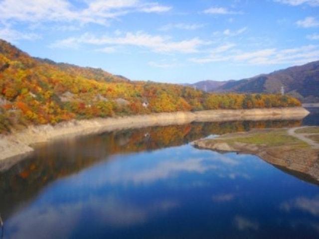 【紅葉・見ごろ】御母衣ダム