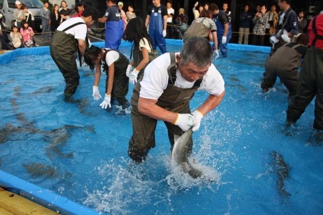 第57回石狩さけまつり