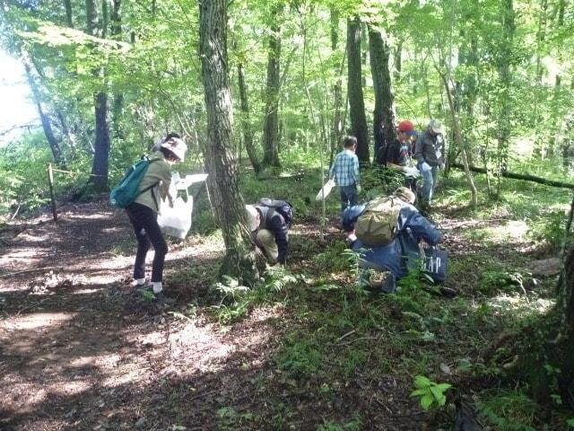 森のきのこ観察会