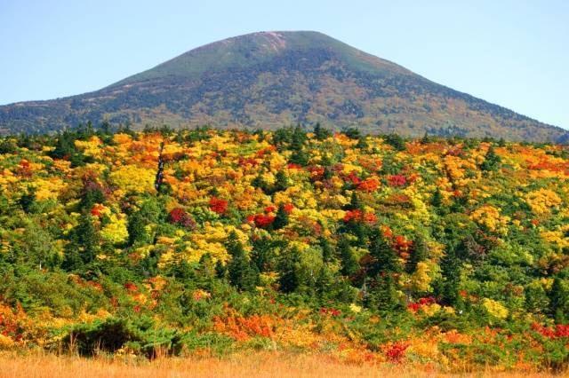 【紅葉・見ごろ】八甲田連峰（八甲田山）