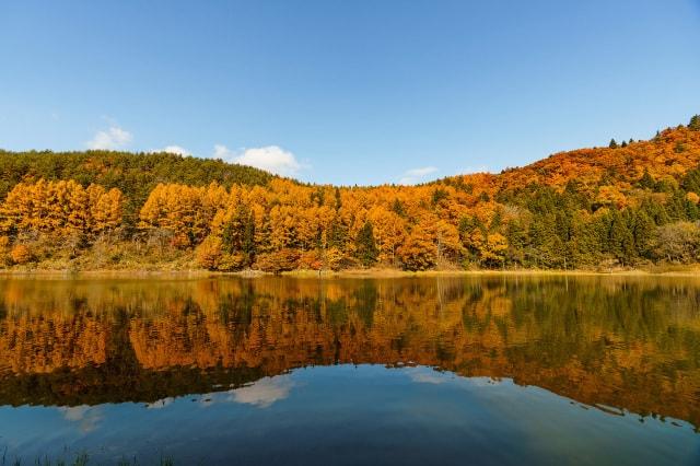 【紅葉・見ごろ】北竜湖