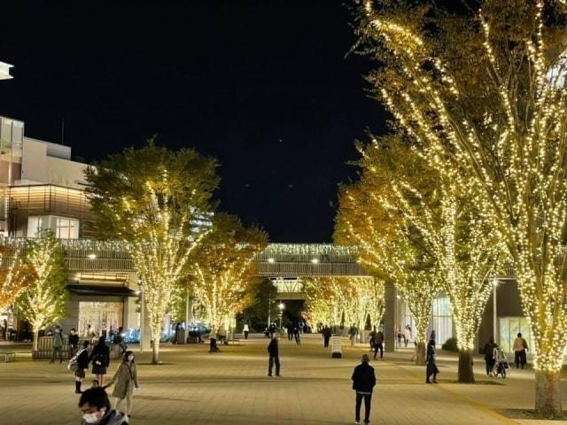 流山おおたかの森イルミネーション2022