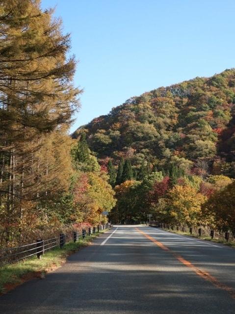 【紅葉・見ごろ】飛騨・美濃せせらぎ街道