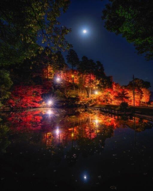 最上山もみじ祭り2022