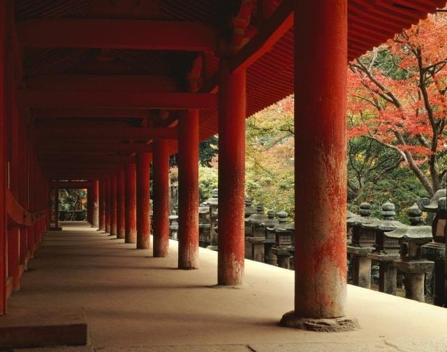 春日若宮式年造替奉祝　入江泰吉「春日野」展