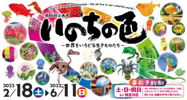 第86回企画展「いのちの色－世界をいろどる生きものたち－」