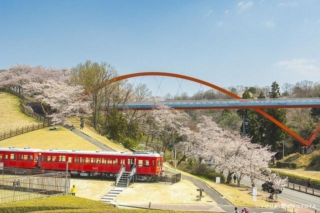 【桜・見ごろ】鞍ケ池公園