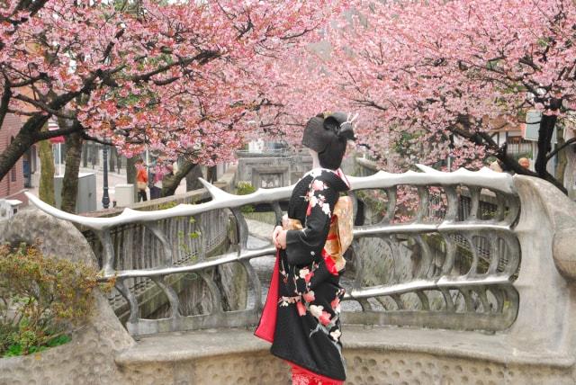 第13回あたみ桜「糸川桜まつり」