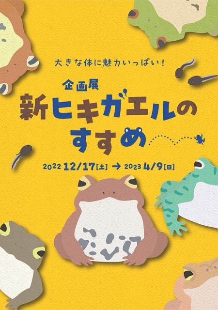 企画展「新ヒキガエルのすすめ」