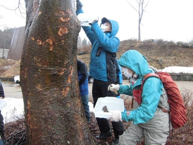 春を待つ山の生き物を探そう