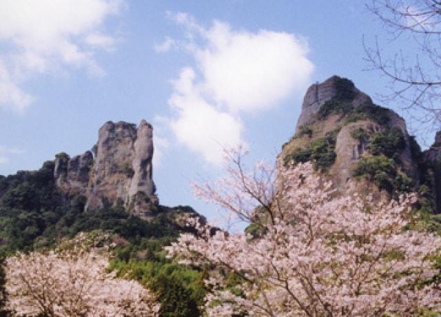 【桜・見ごろ】乳待坊公園