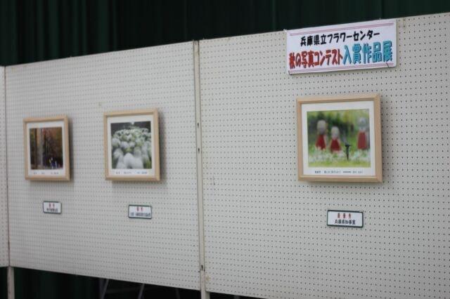 2022秋の写真コンテスト入賞作品展