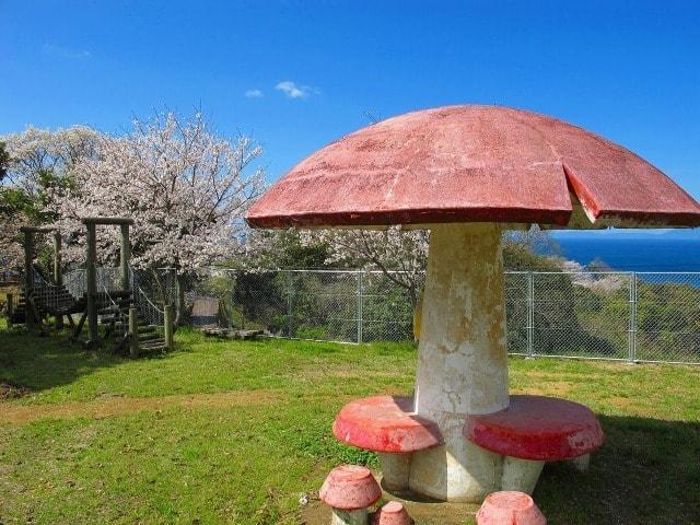 【桜・見ごろ】権田公園