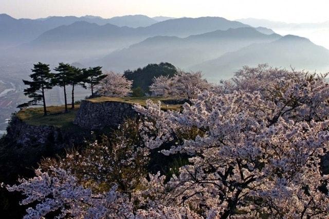 竹田城跡　春の特別観覧