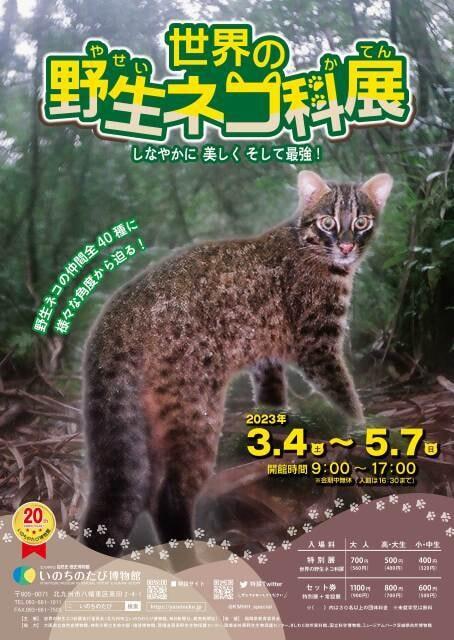 開館20周年記念 春の特別展「世界の野生ネコ科展　しなやかに、美しく、そして最強！」