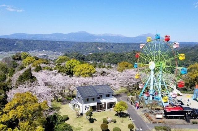 【桜・見ごろ】国分城山公園