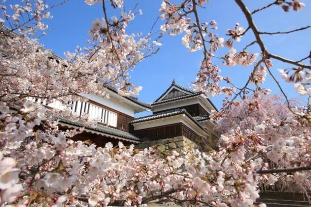 第20回　上田城千本桜まつり