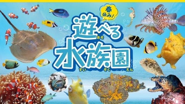 福岡E・ZO「春休み！遊べる水族園」
