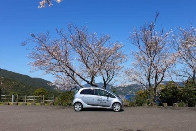 【桜・見ごろ】龍観山展望所
