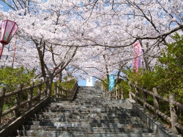 第42回 富士川町大法師さくら祭り