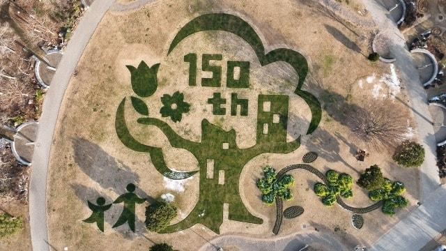 淡路島国営明石海峡公園　芝生の地上絵「夢の樹公園」