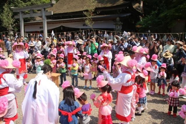鹿島神宮　御田植祭