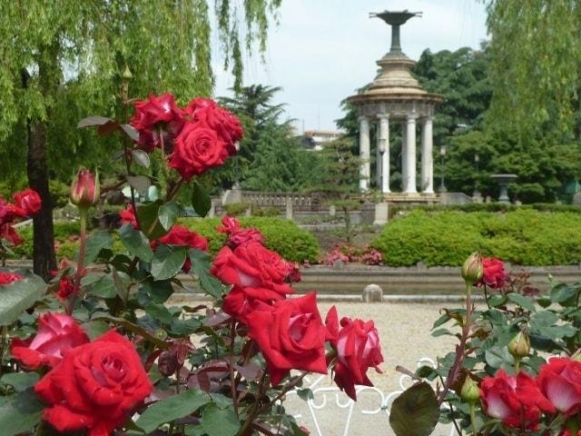 鶴舞公園 花まつり