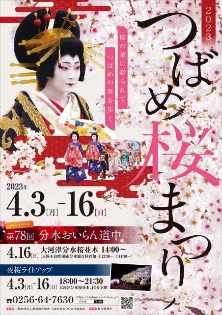 2023つばめ桜まつり　分水おいらん道中