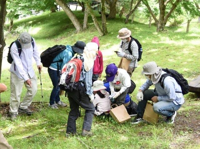 初夏のキノコ観察　県立21世紀の森