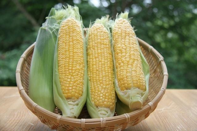 とうもろこし（味来を中心に）販売推奨月間